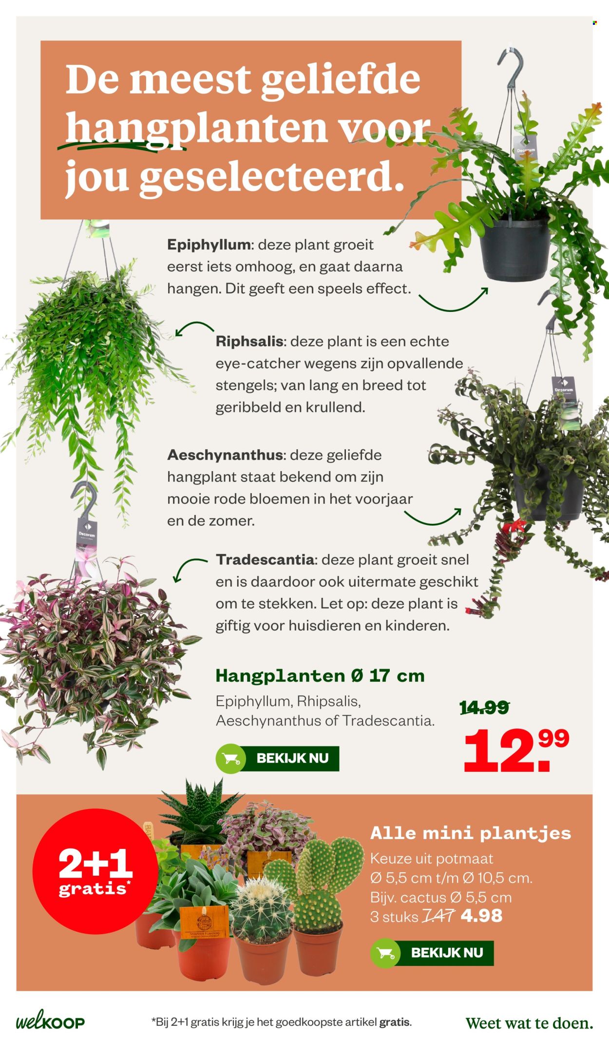 Welkoop-aanbieding - 6-7-2026 - 19-7-2026. Pagina 15