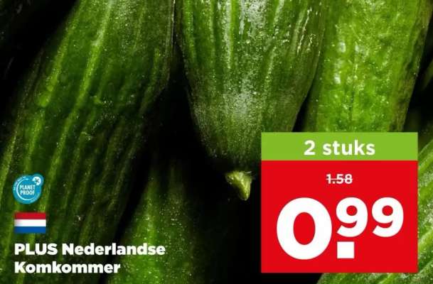 PLUS Nederlandse Komkommer