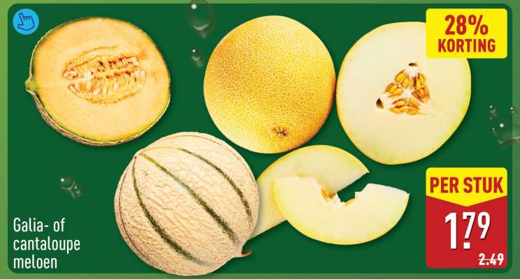 Galia- of cantaloupe-meloen