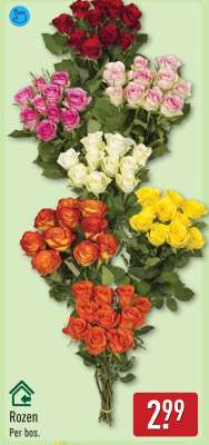 Rozen