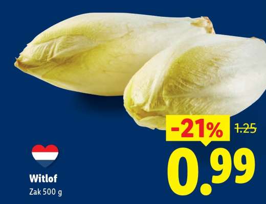Witlof