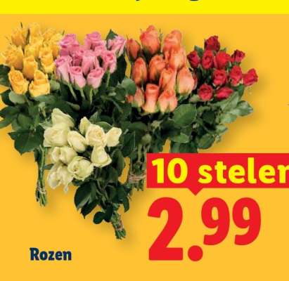 Rozen
