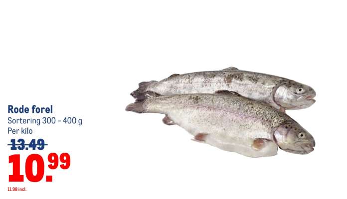 Rode forel