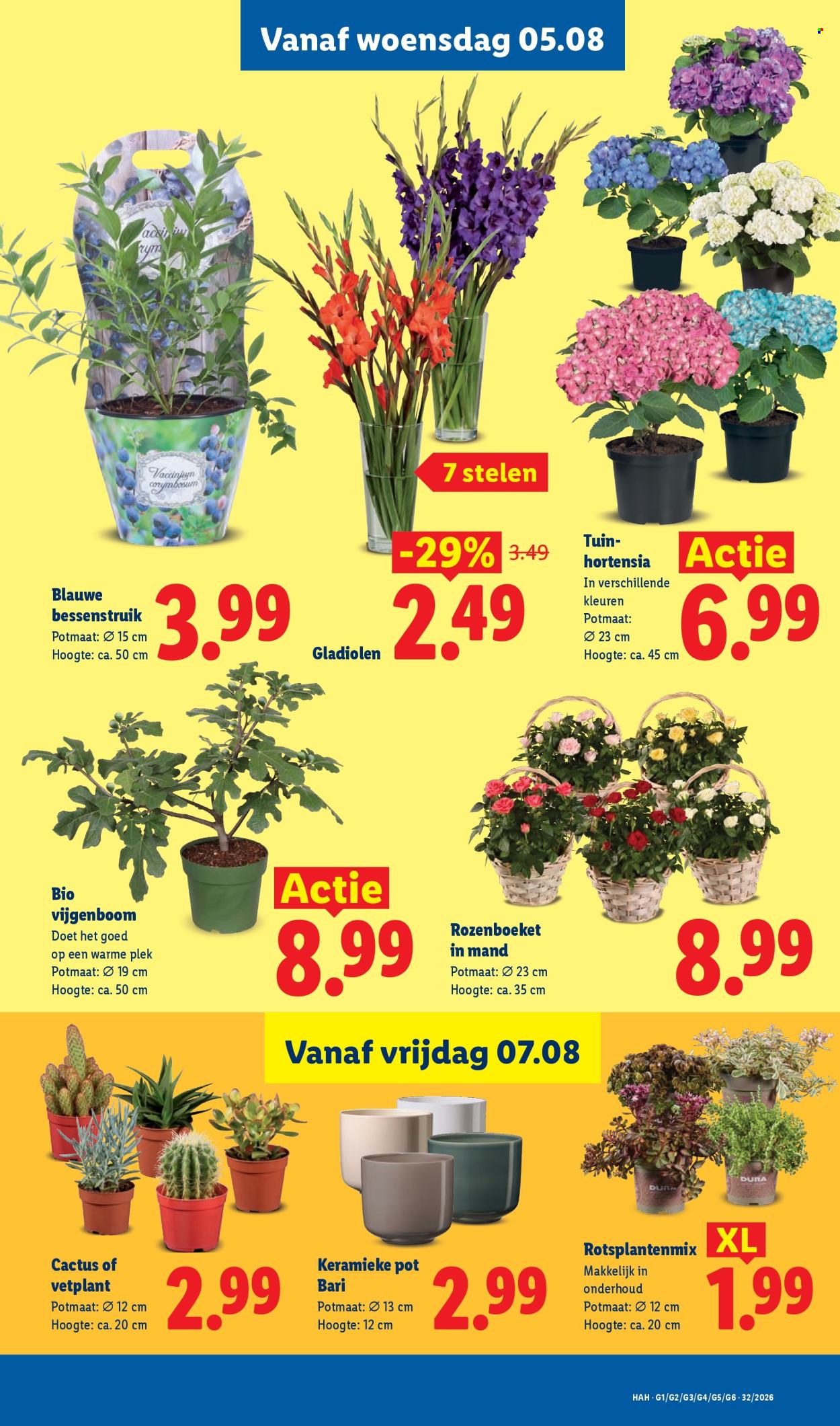 Lidl-aanbieding - 3-8-2026 - 9-8-2026. Pagina 35