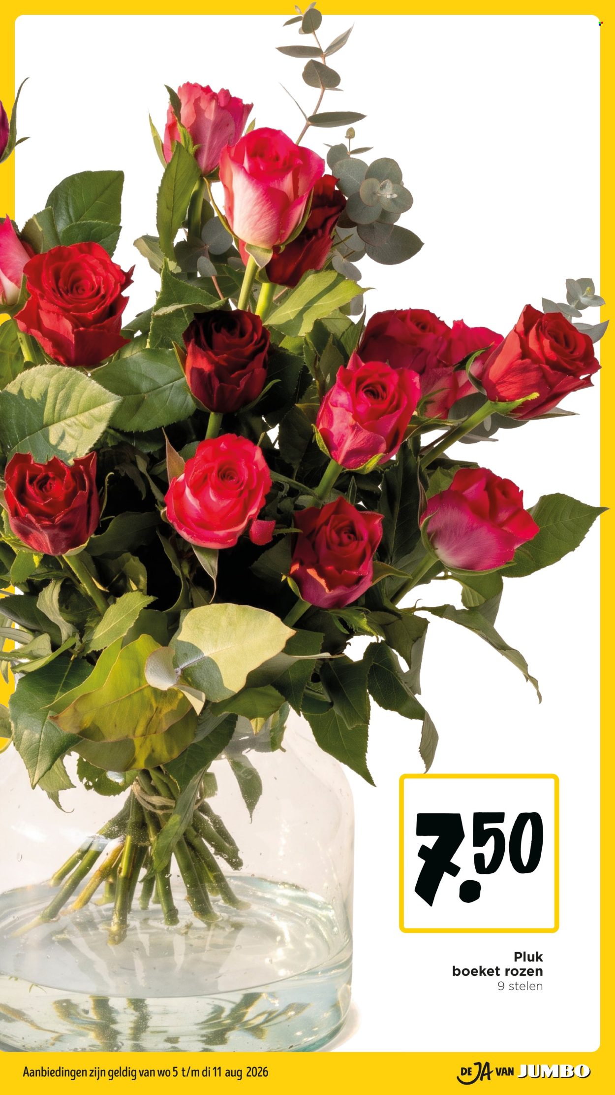 Jumbo-aanbieding - 5-8-2026 - 11-8-2026. Pagina 20