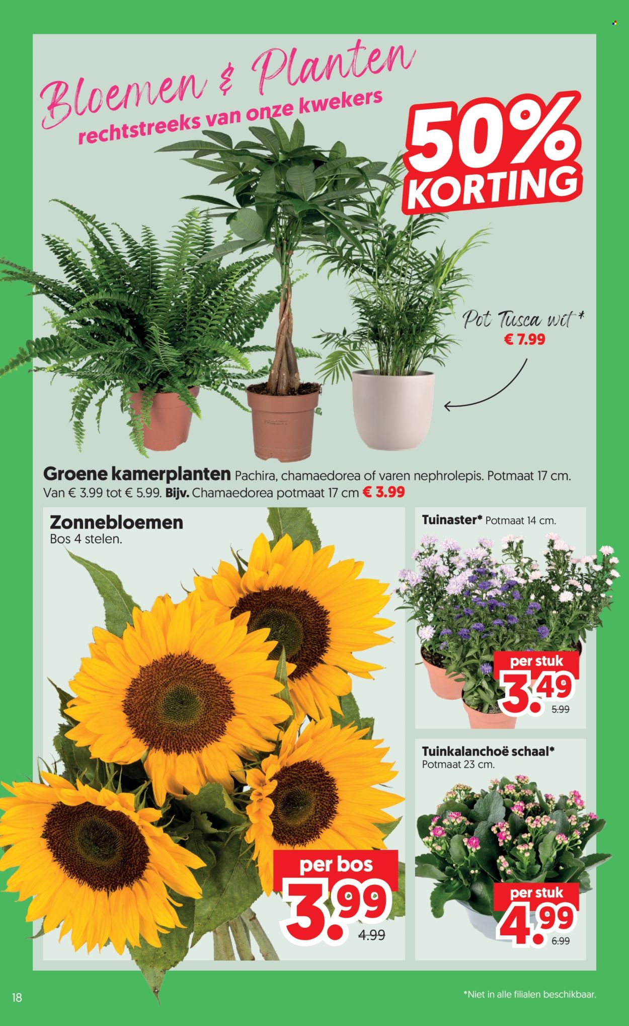 DekaMarkt-aanbieding - 4-8-2026 - 10-8-2026. Pagina 20
