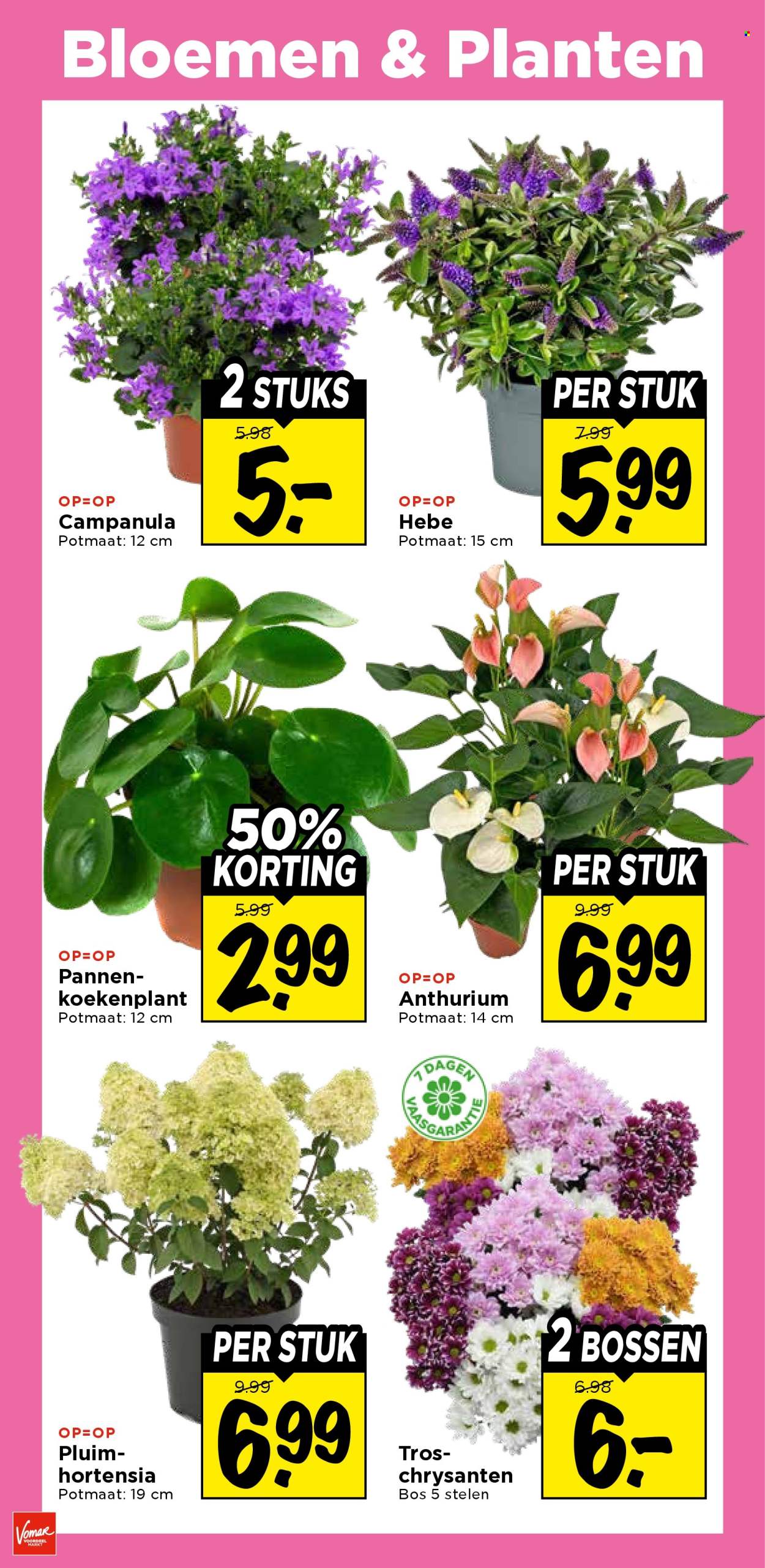 Vomar-aanbieding - 2-8-2026 - 8-8-2026. Pagina 26