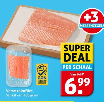 Verse zalmfilet