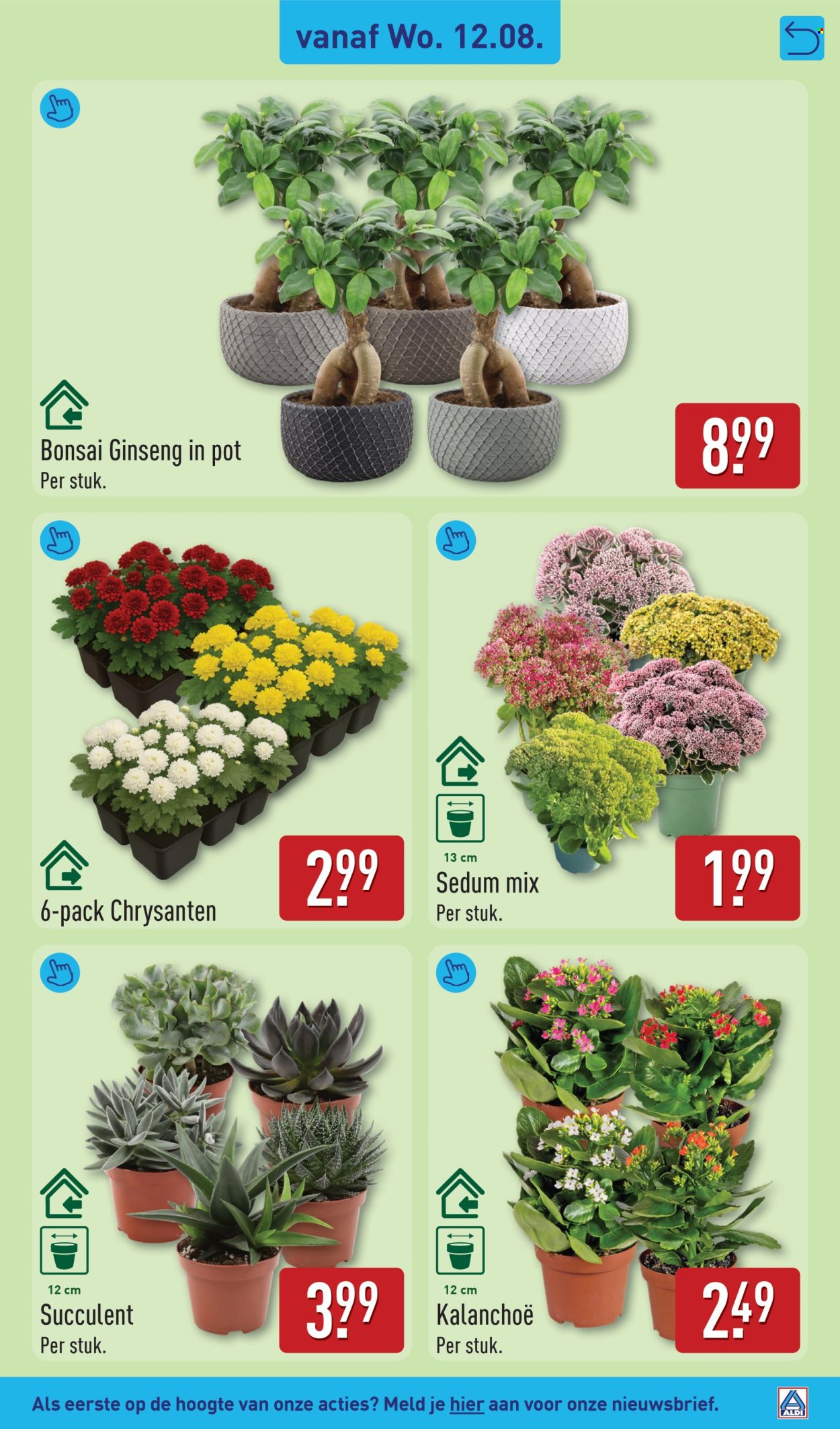 Aldi-aanbieding - 10-8-2026 - 16-8-2026. Pagina 31
