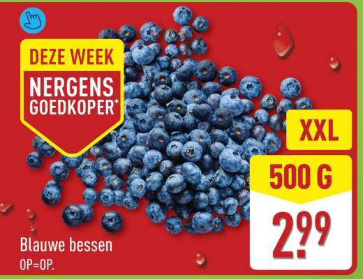 Blauwe bessen