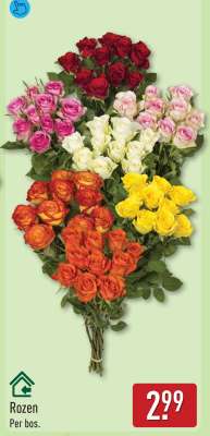 Rozen