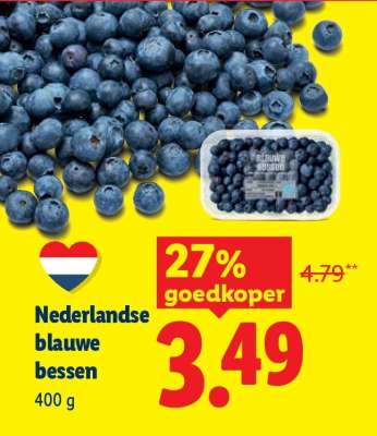 Nederlandse blauwe bessen
