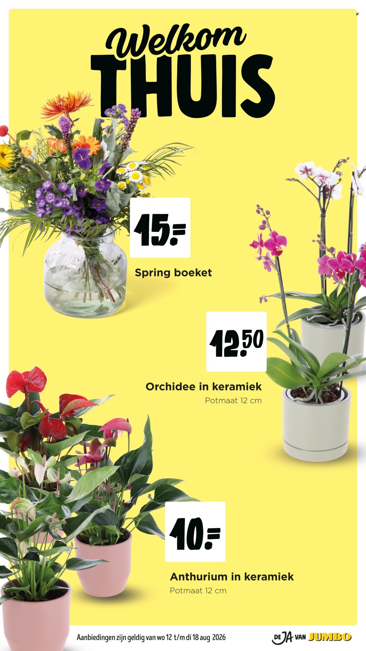 Jumbo-aanbieding - 12-8-2026 - 18-8-2026. Pagina 27