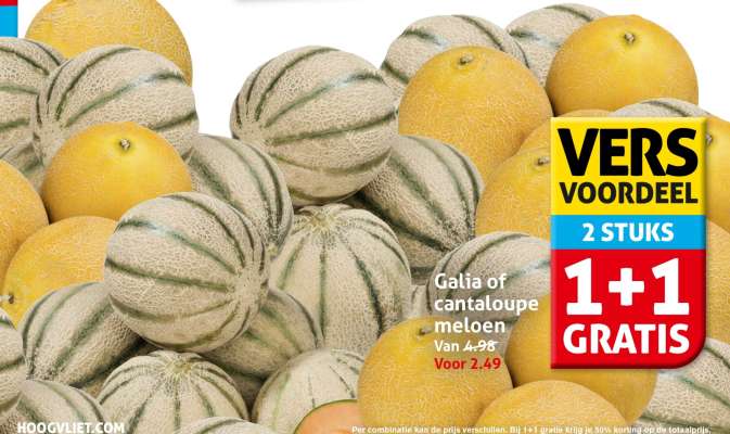 Galia- of cantaloupe-meloen