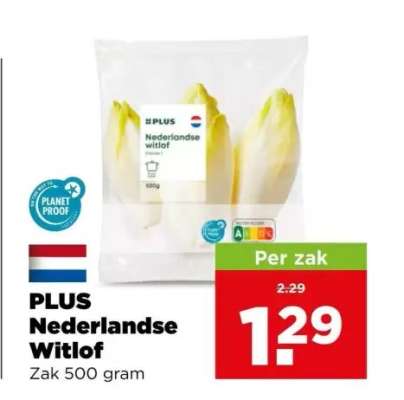 PLUS Nederlandse Witlof
