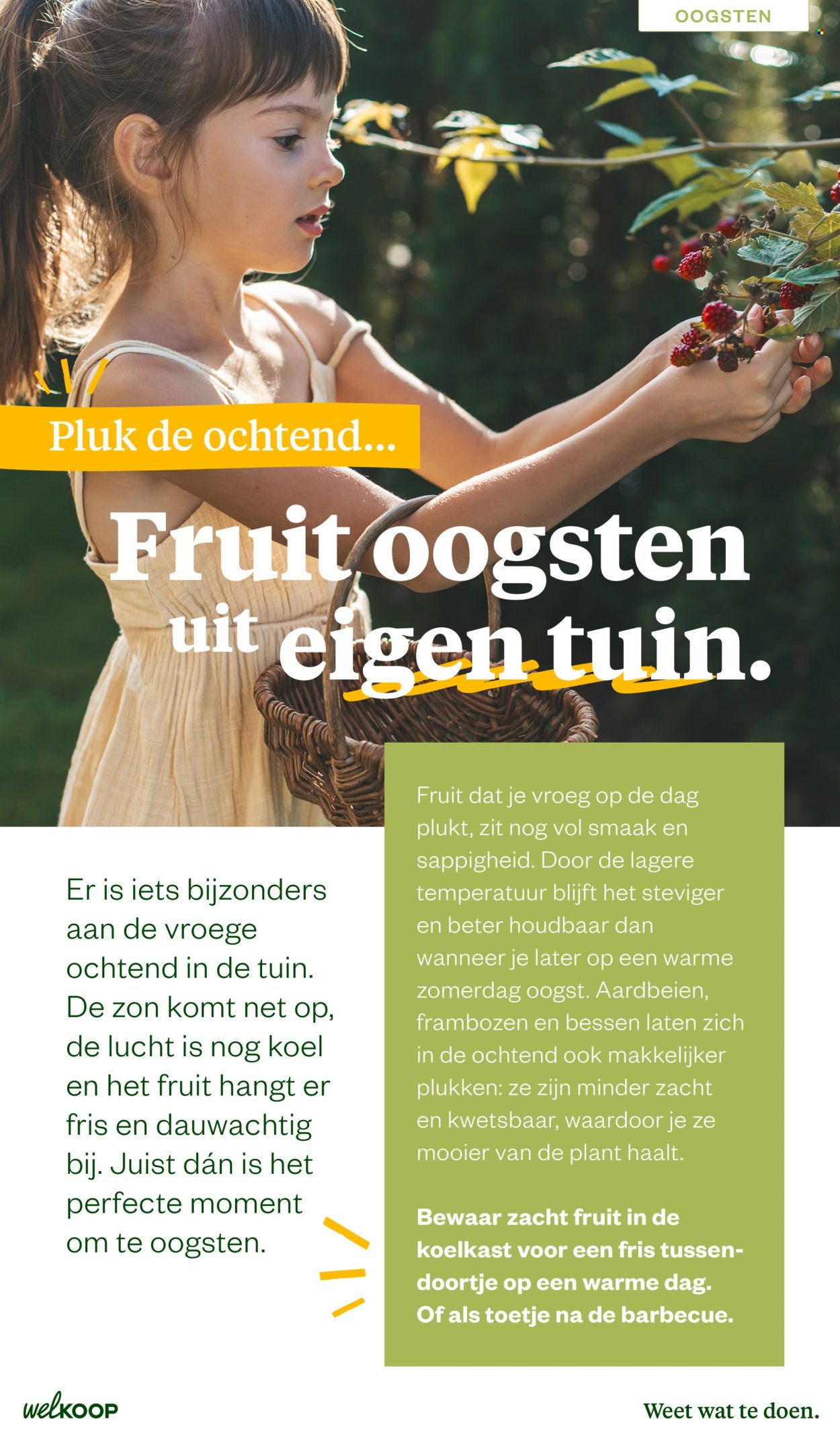 Welkoop-aanbieding - 22-6-2026 - 23-8-2026. Pagina 4