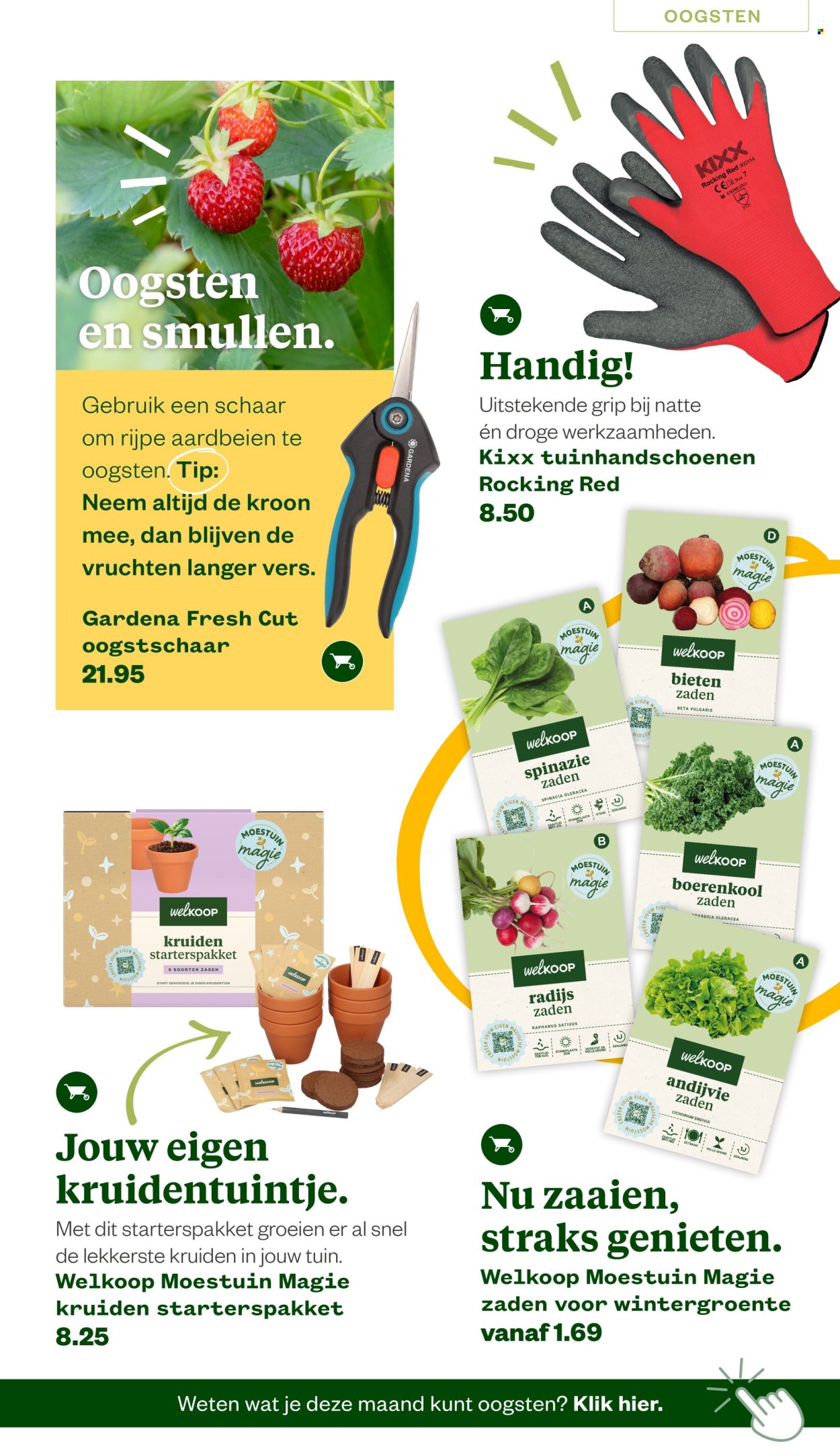 Welkoop-aanbieding - 22-6-2026 - 23-8-2026. Pagina 5