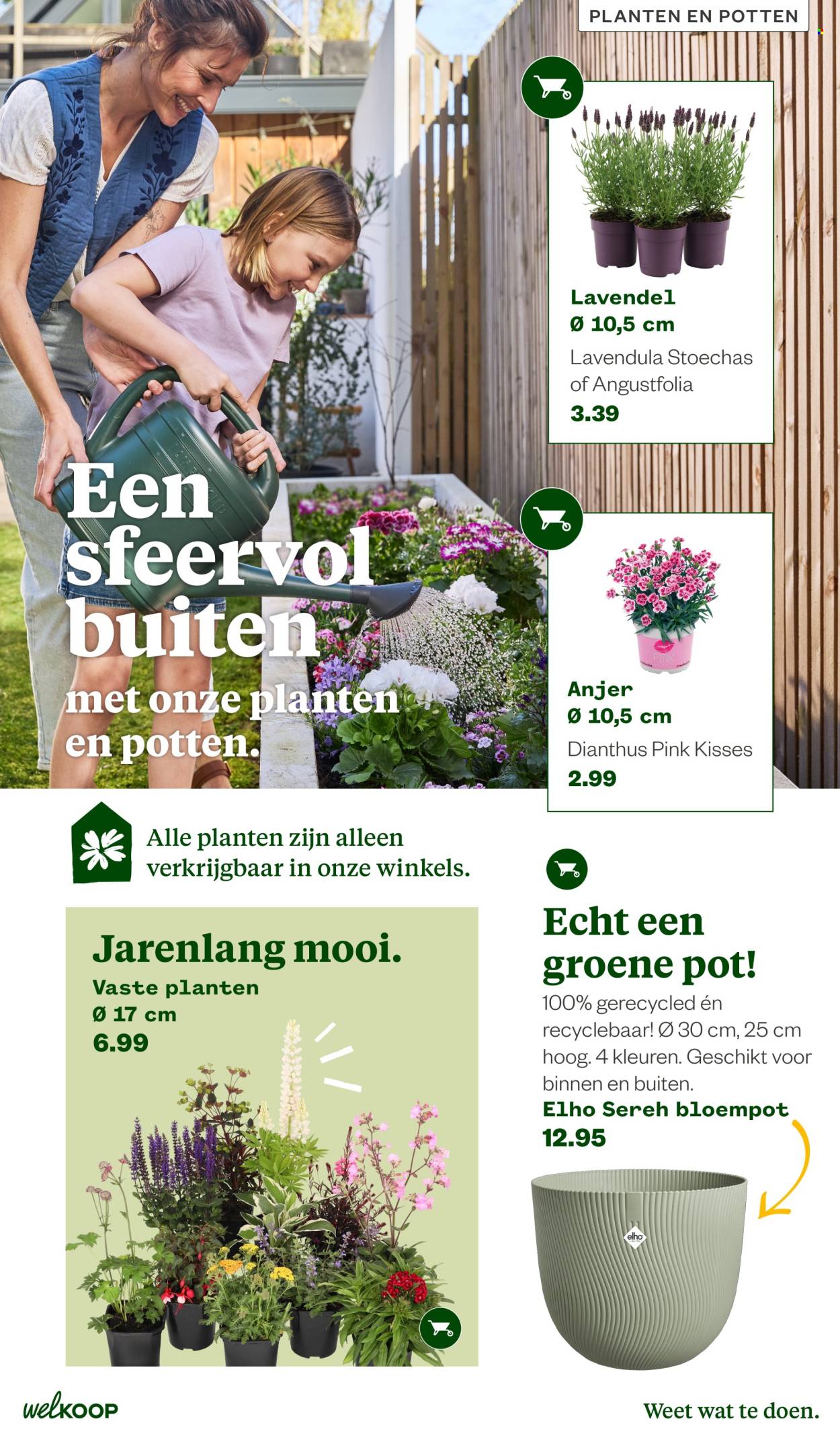 Welkoop-aanbieding - 22-6-2026 - 23-8-2026. Pagina 8