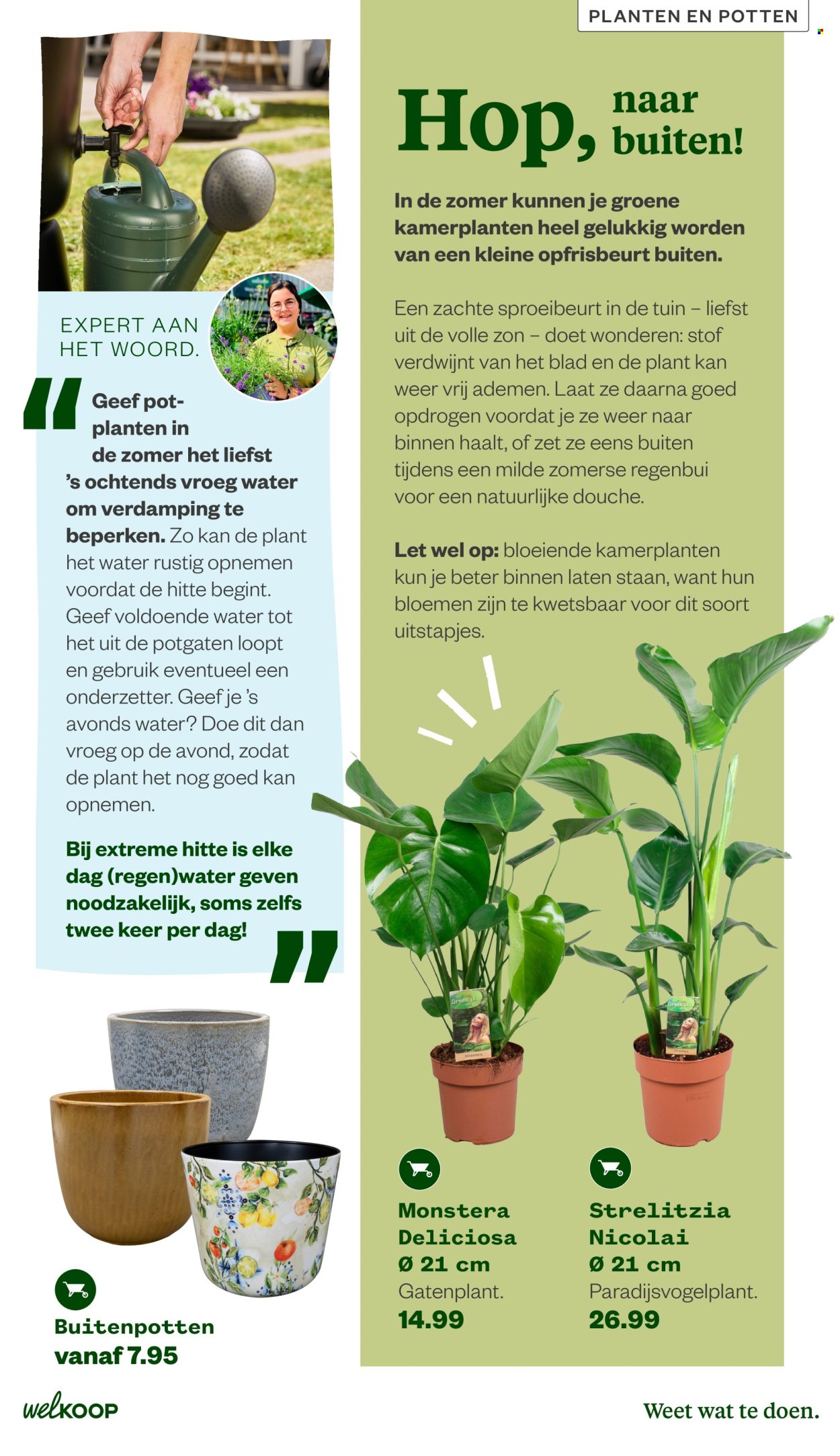 Welkoop-aanbieding - 22-6-2026 - 23-8-2026. Pagina 9