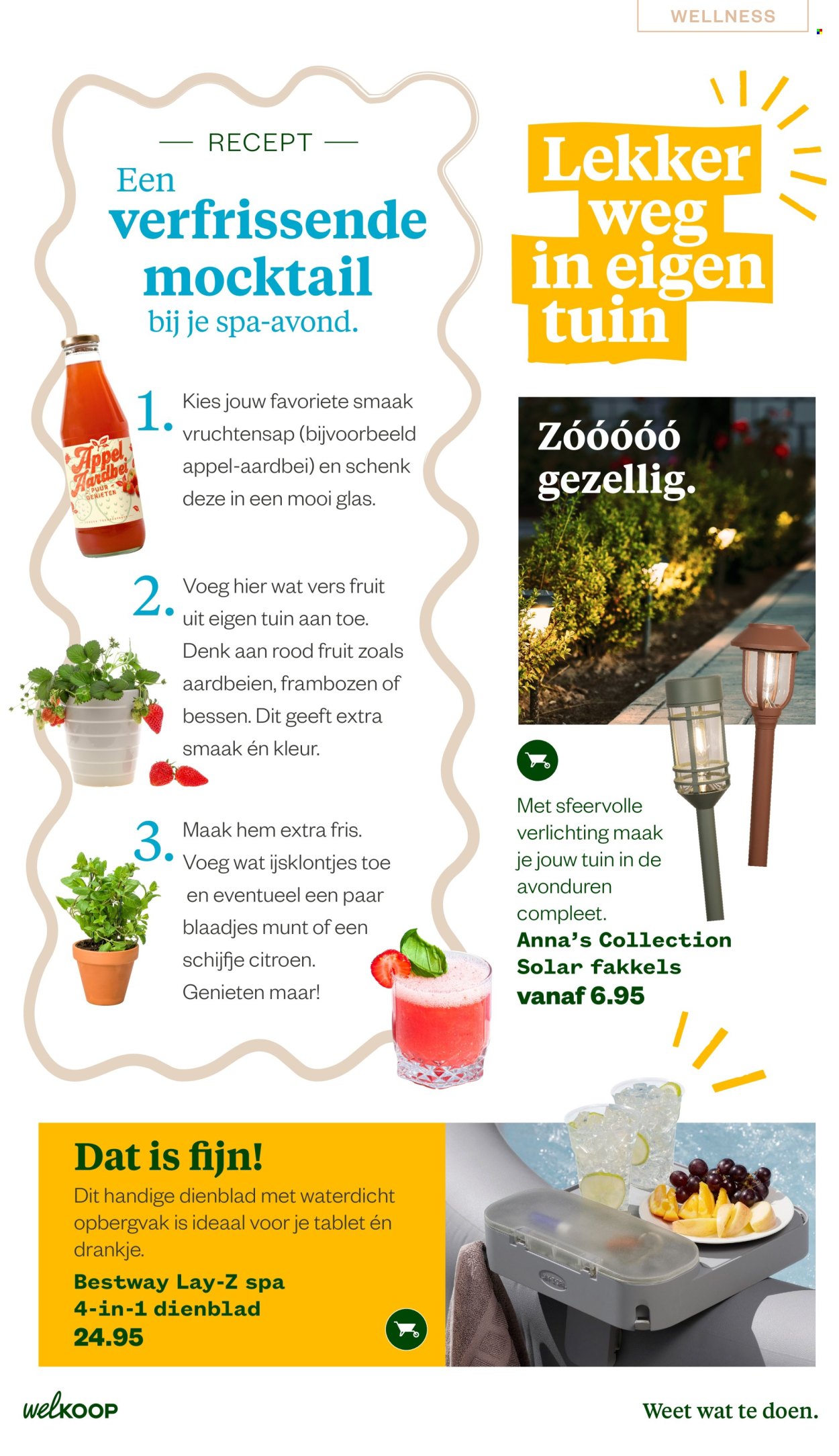 Welkoop-aanbieding - 22-6-2026 - 23-8-2026. Pagina 27