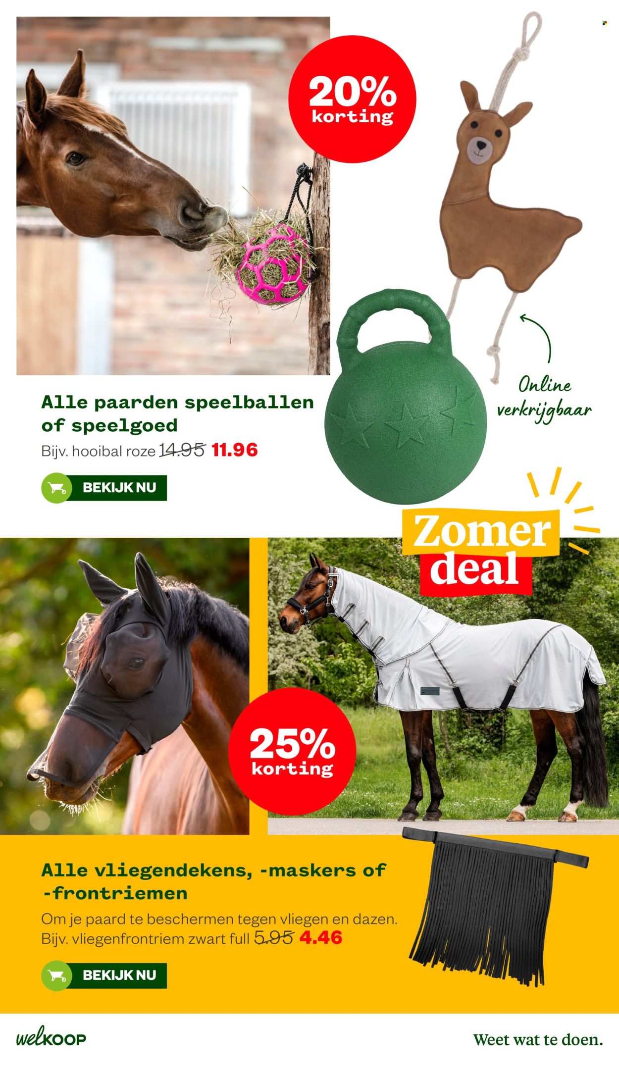 Welkoop-aanbieding - 10-8-2026 - 23-8-2026. Pagina 25