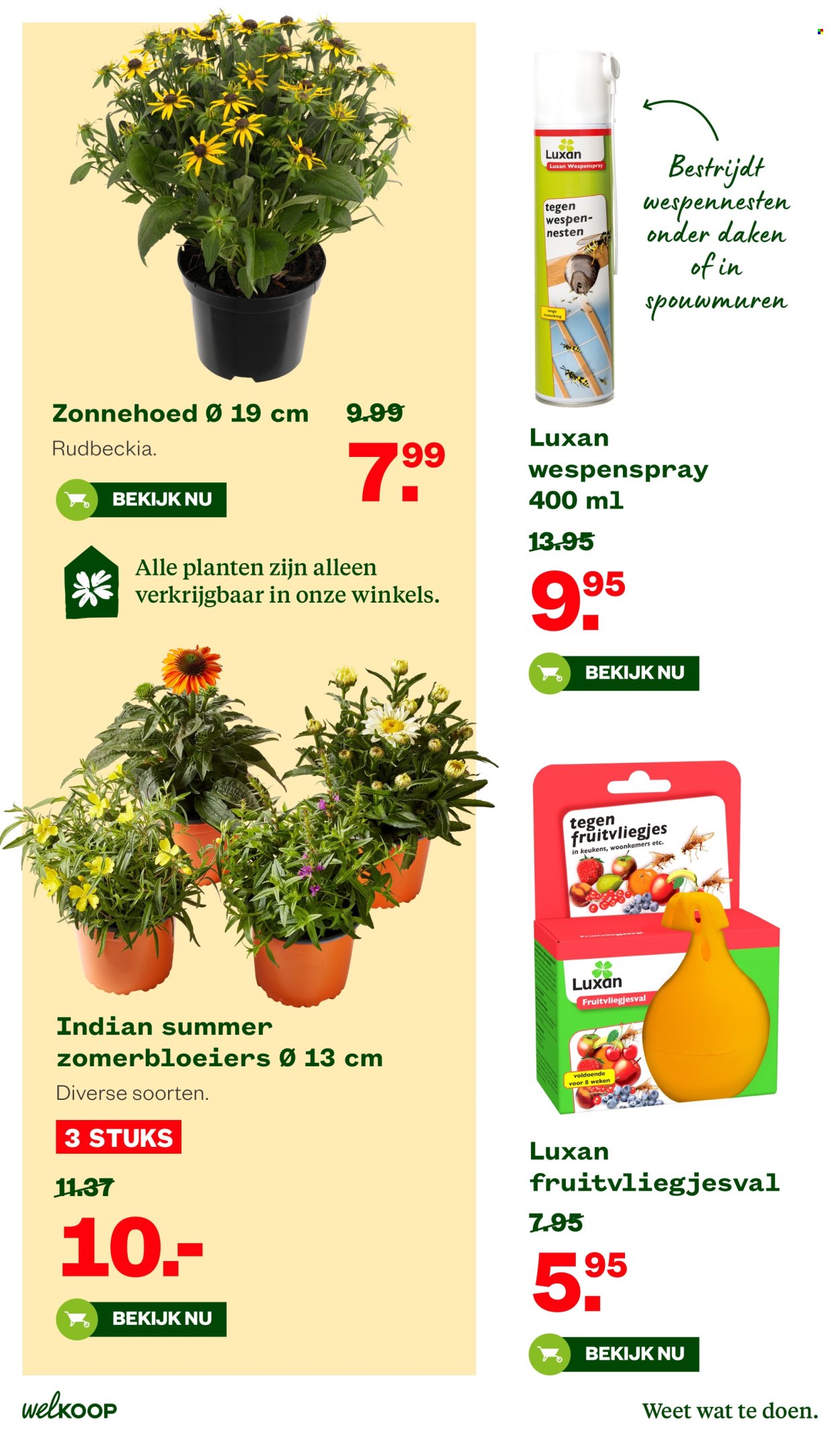Welkoop-aanbieding - 10-8-2026 - 23-8-2026. Pagina 27