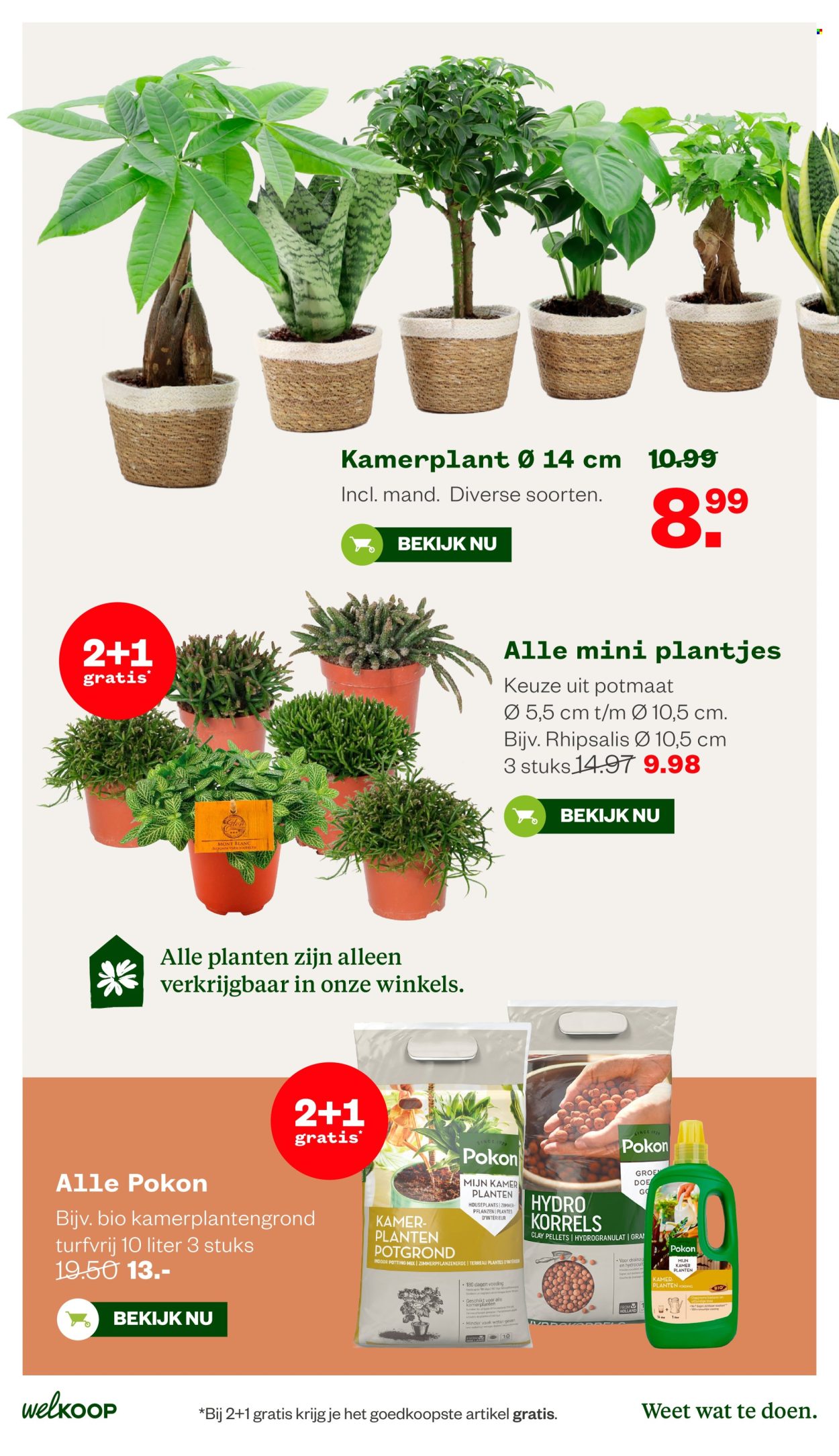 Welkoop-aanbieding - 10-8-2026 - 23-8-2026. Pagina 28