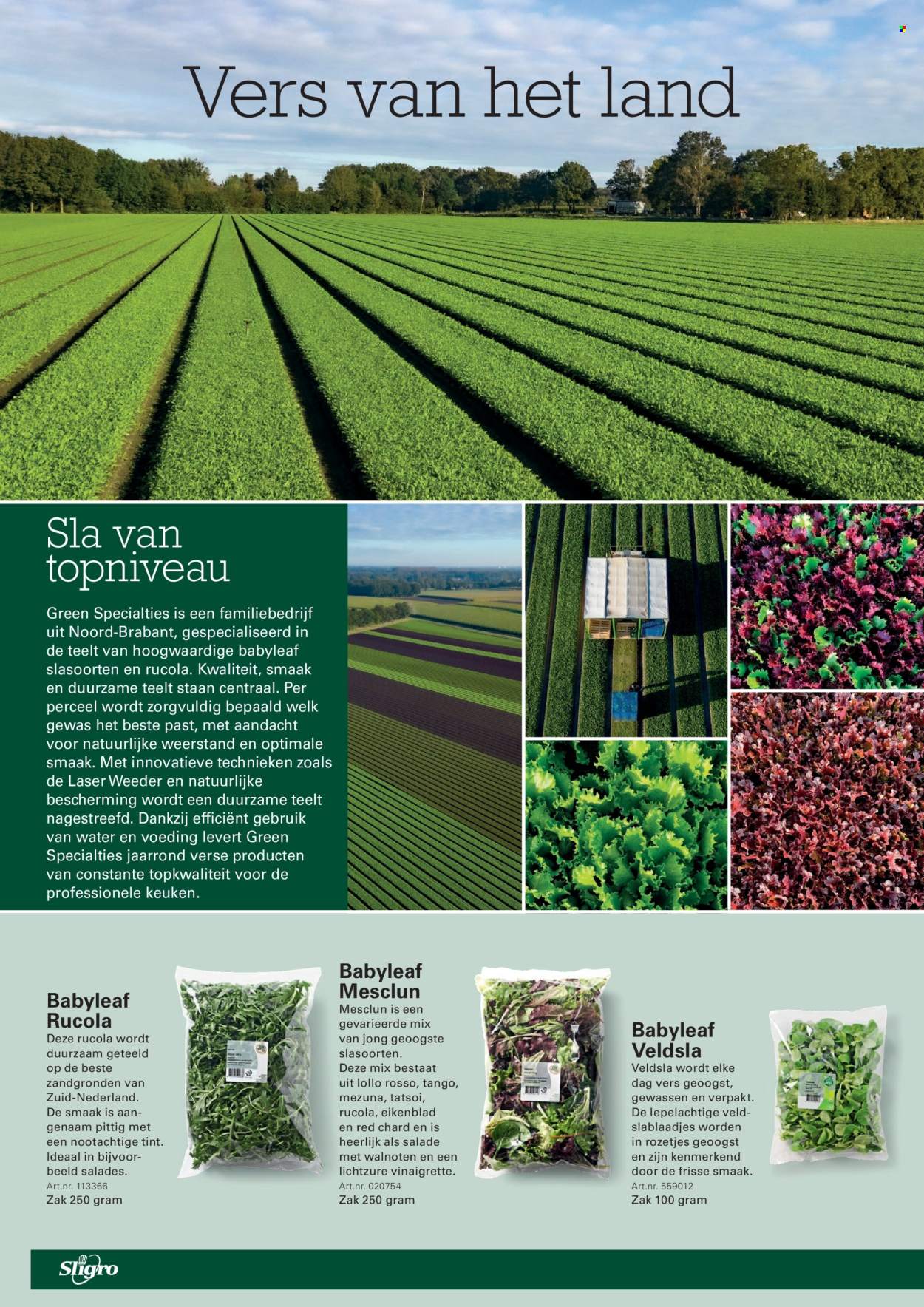 Sligro-aanbieding - 13-8-2026 - 31-8-2026. Pagina 28