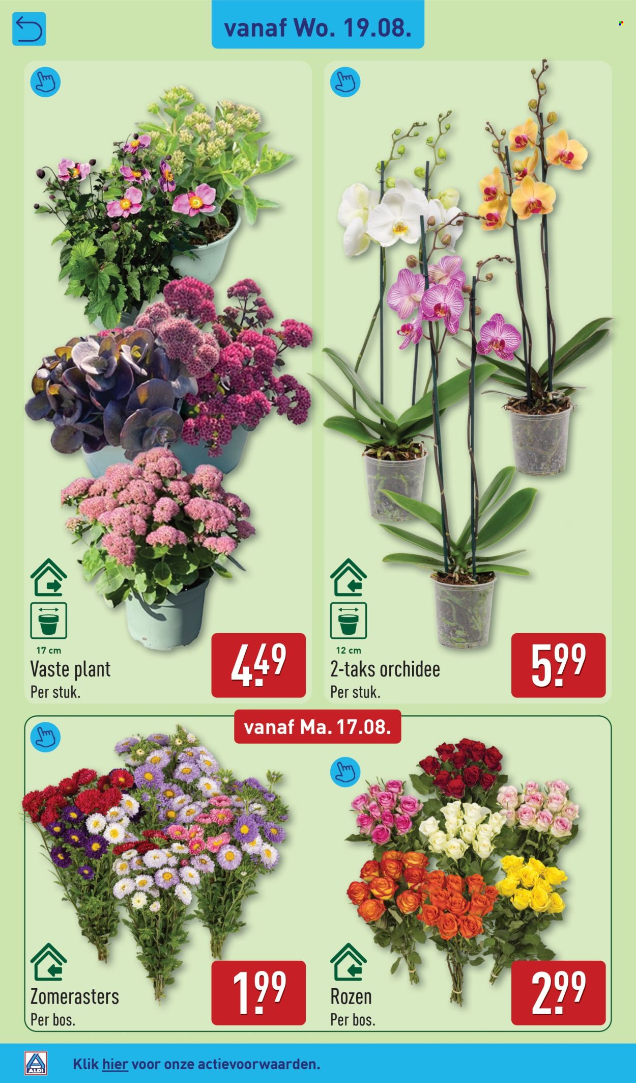 Aldi-aanbieding - 17-8-2026 - 23-8-2026. Pagina 30