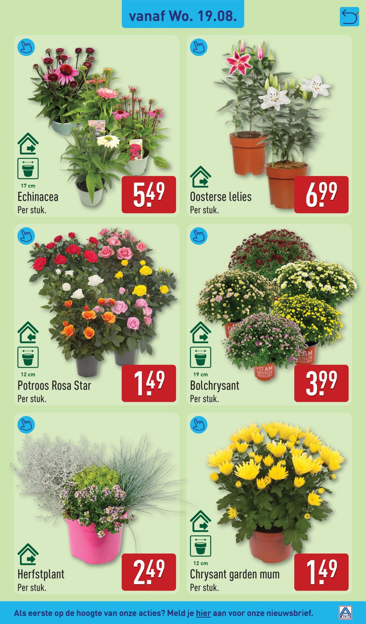 Aldi-aanbieding - 17-8-2026 - 23-8-2026. Pagina 31