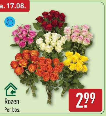 Rozen