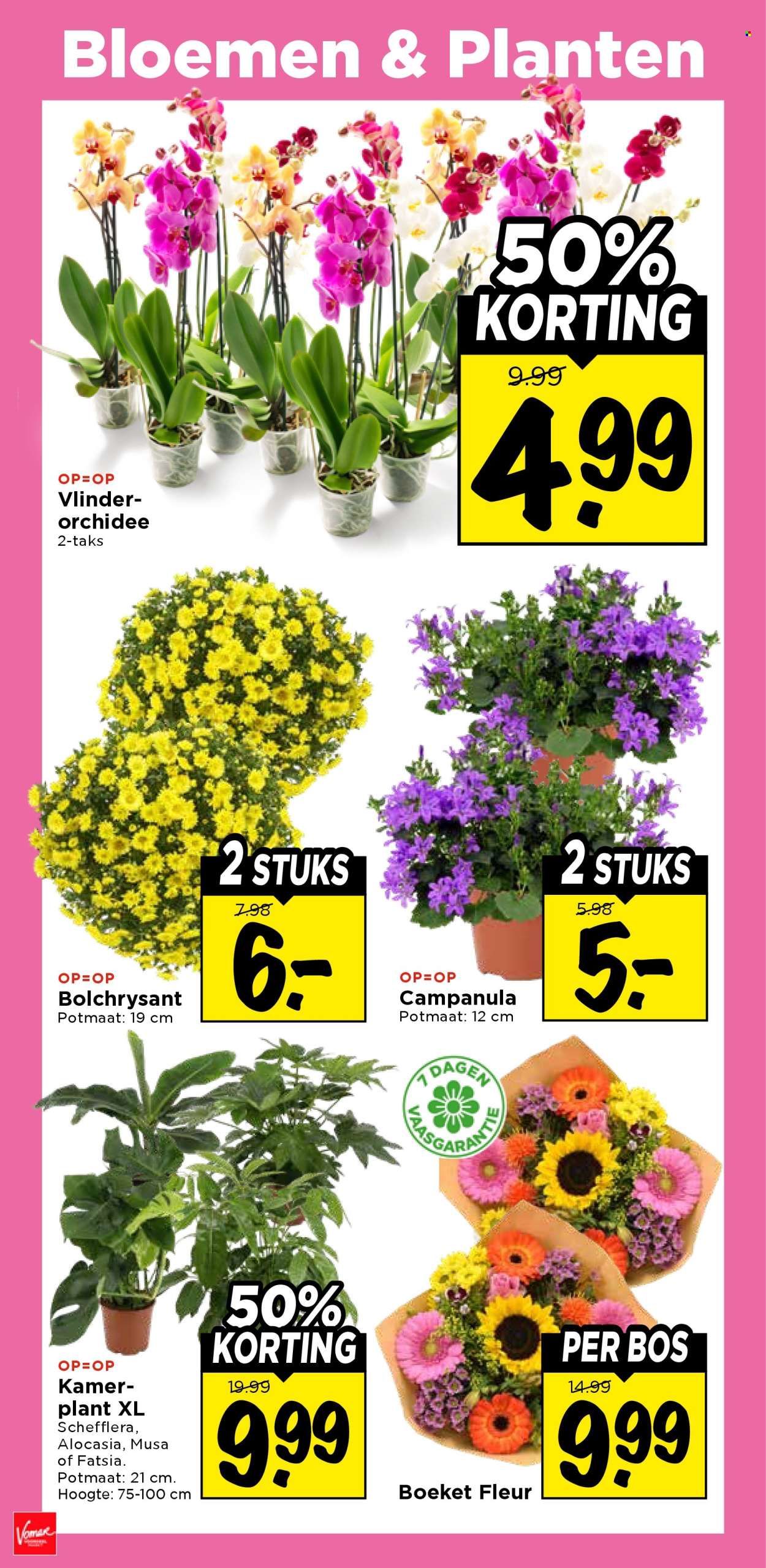 Vomar-aanbieding - 16-8-2026 - 22-8-2026. Pagina 32