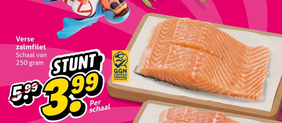 Verse zalmfilet
