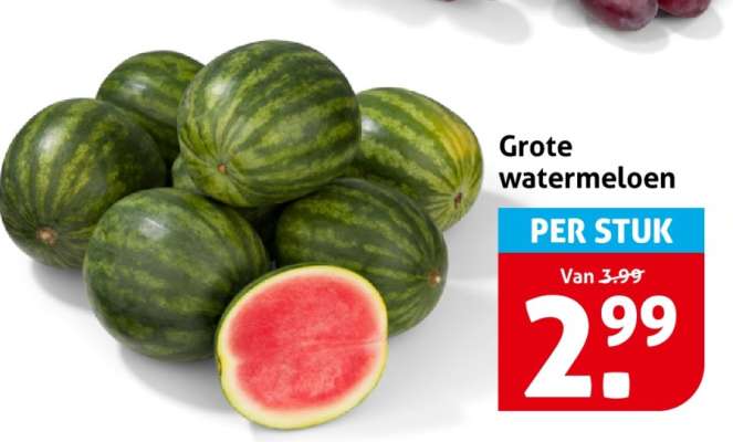 Grote watermeloen