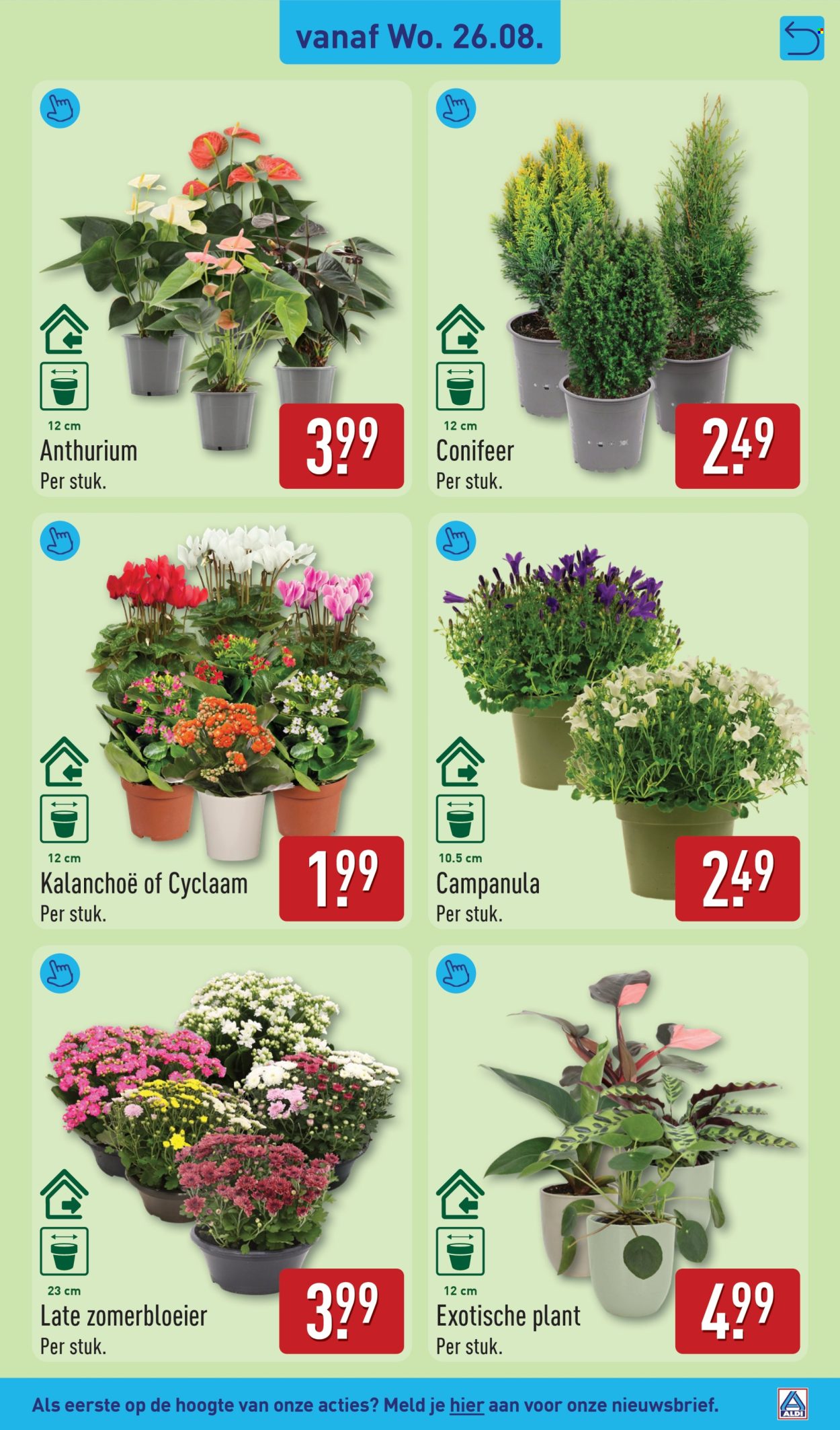 Aldi-aanbieding - 24-8-2026 - 30-8-2026. Pagina 47