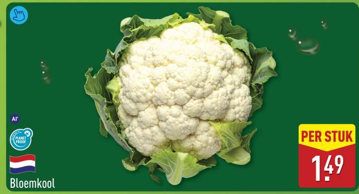 Bloemkool