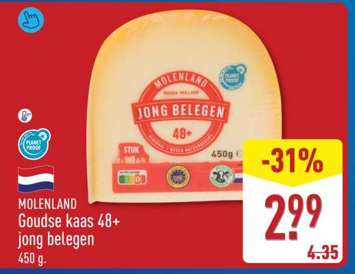 MOLENLAND Goudse kaas 48+ jong belegen