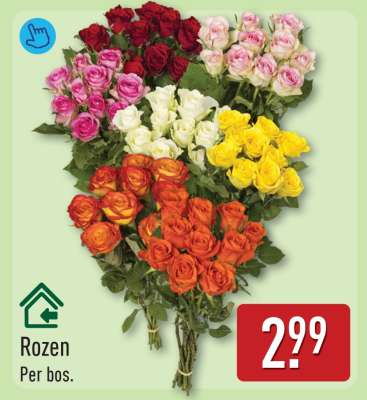 Rozen