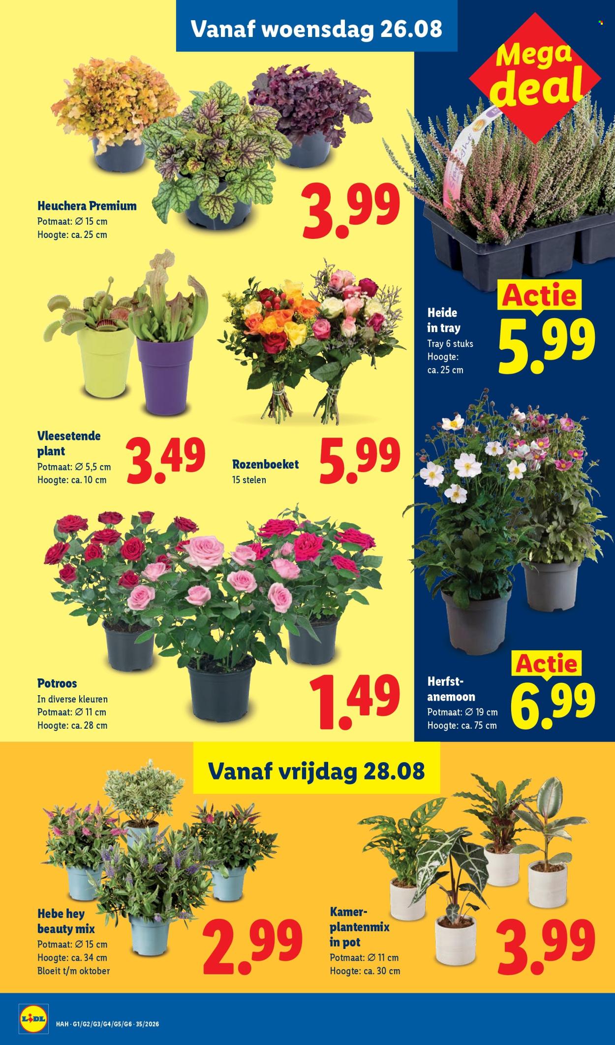 Lidl-aanbieding - 24-8-2026 - 30-8-2026. Pagina 20