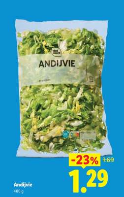 Andijvie