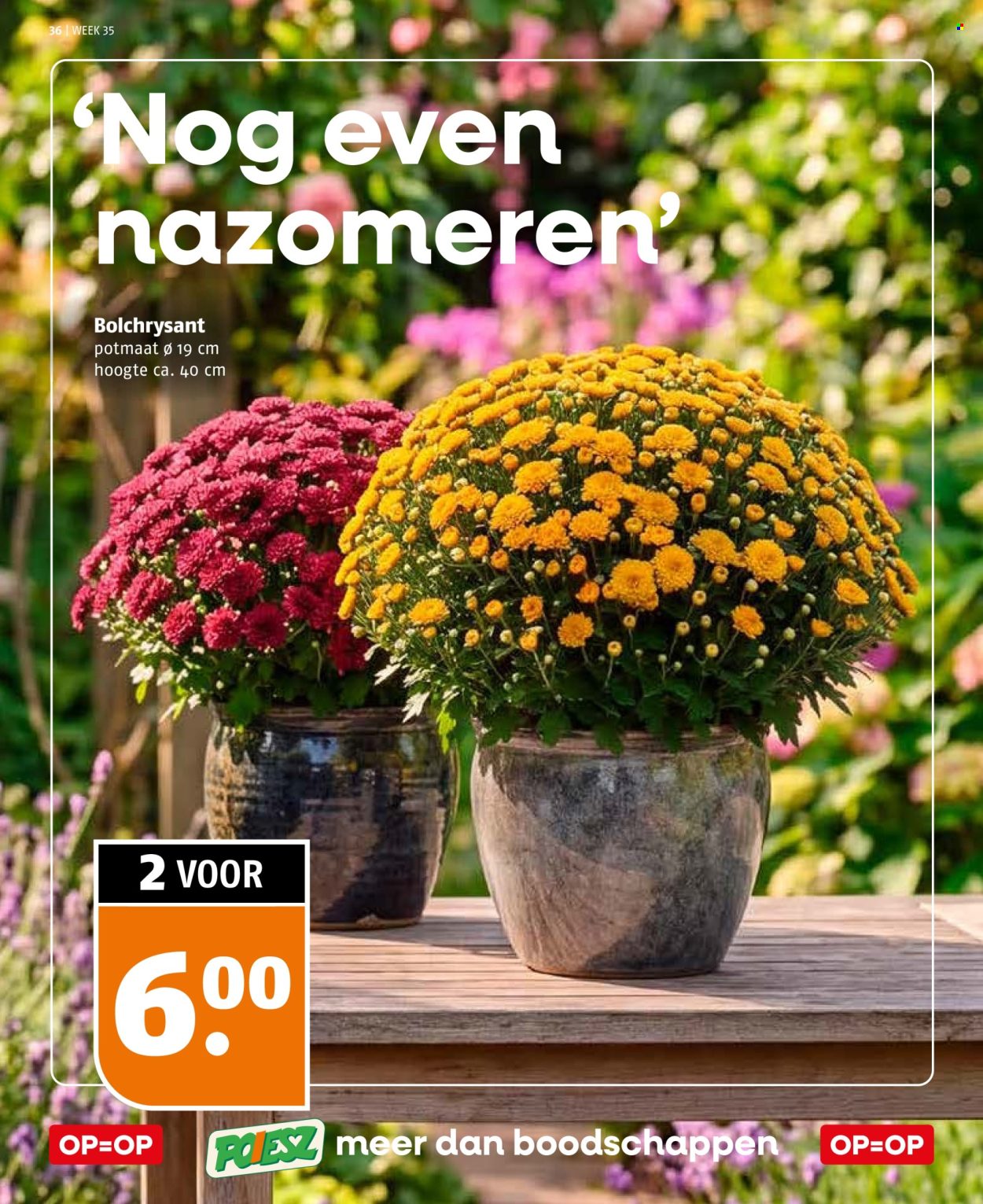 Poiesz-aanbieding - 23-8-2026 - 29-8-2026. Pagina 36