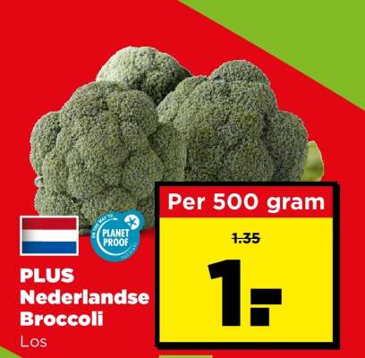 PLUS Nederlandse Broccoli