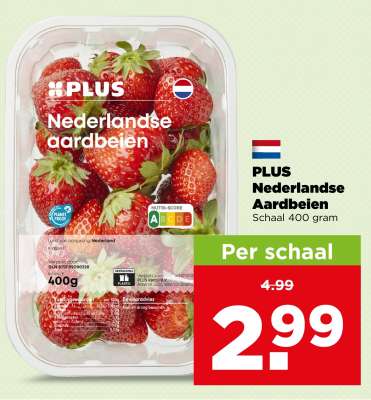 PLUS Nederlandse Aardbeien