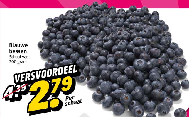 Blauwe bessen