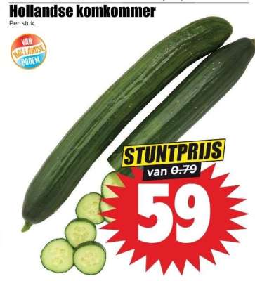 Hollandse komkommer