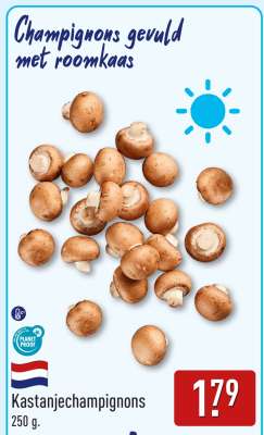 Kastanjechampignons