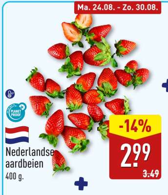 NEDERLANDSE AARDBEIEN