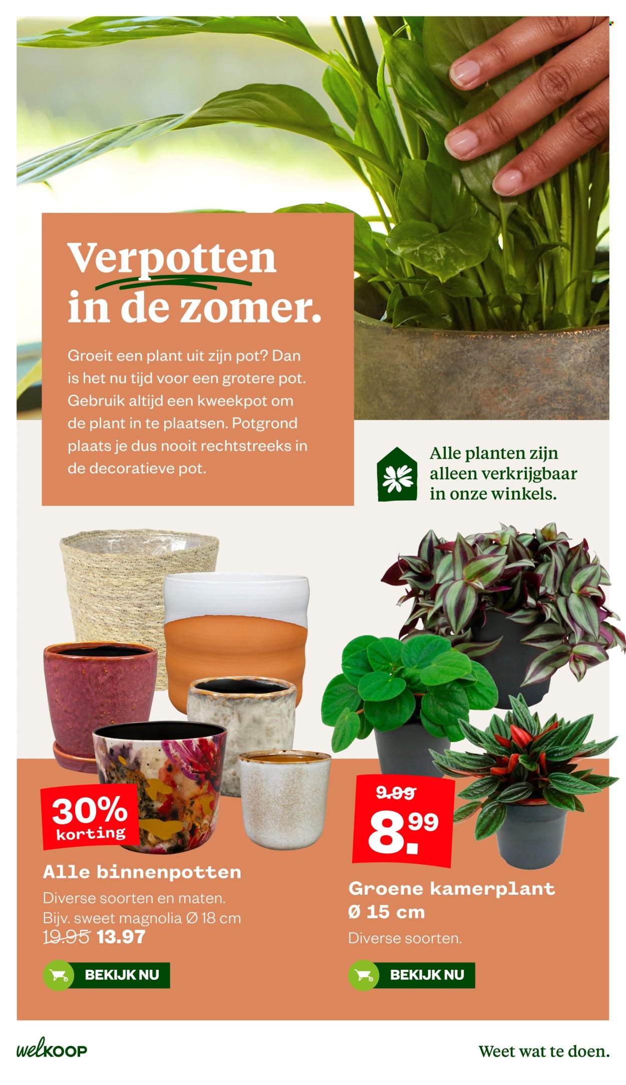 Welkoop-aanbieding - 24-8-2026 - 6-9-2026. Pagina 16