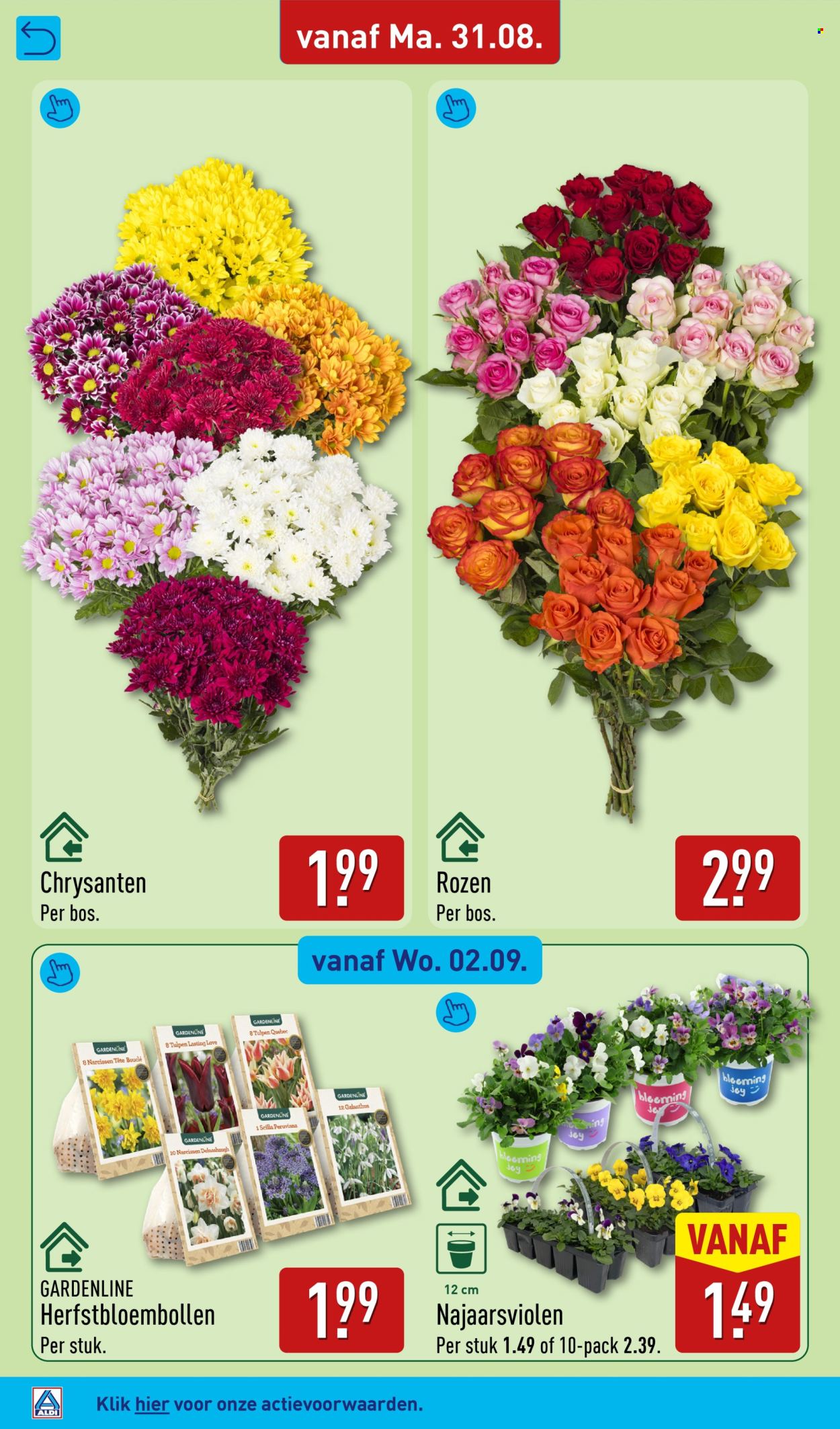 Aldi-aanbieding - 31-8-2026 - 6-9-2026. Pagina 54