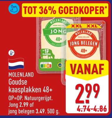 Molenland Goudse kaasplakken 48+